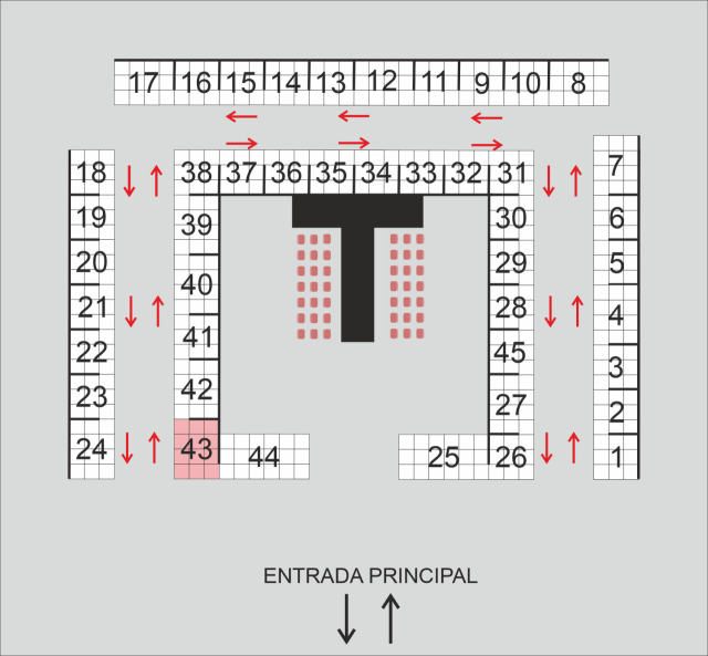 Verónica García Castillo
