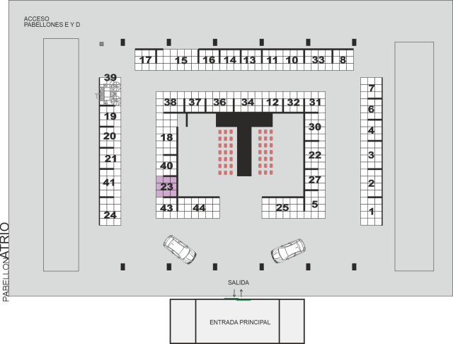 Francisca Mª Molina Valle