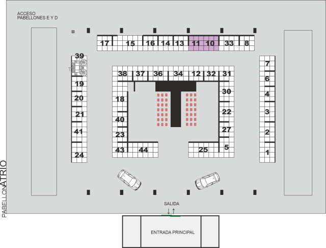 Alícia García cesteros