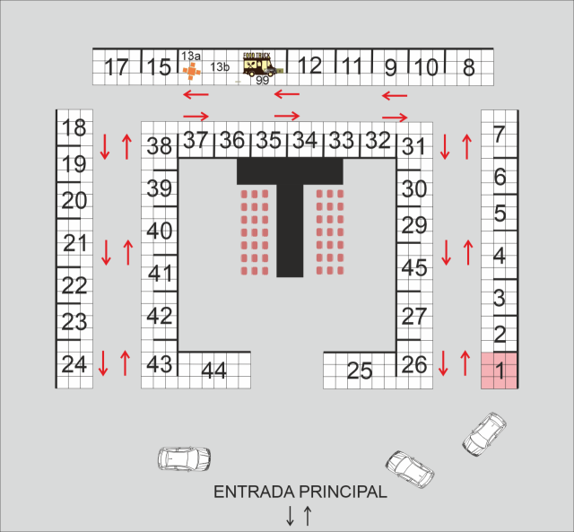 Constanza Giacomelli