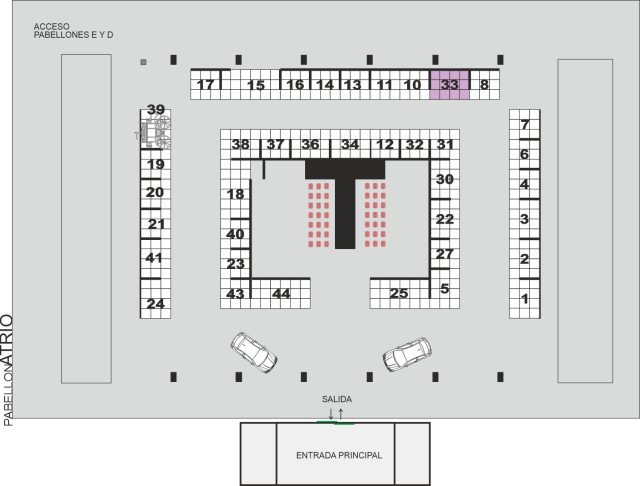 Priscila Collado Pagnard