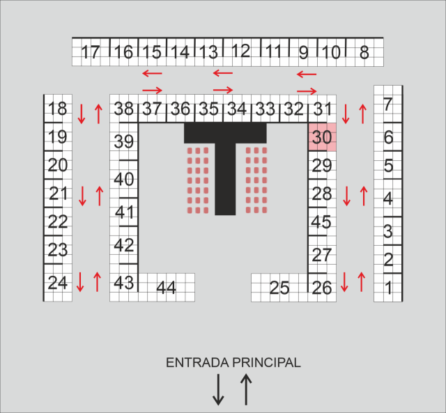 Magdalena Pietras  (ETERNA by Plantarium)