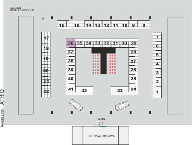 Miriam Seivane Gómez