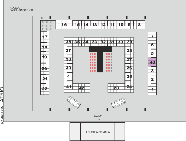 Francisca Mª Molina Valle