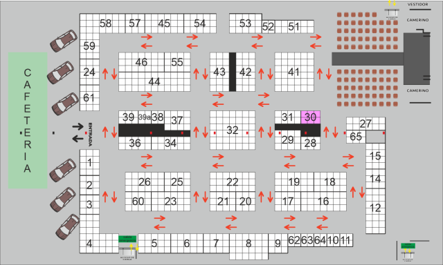 Angelica Picazo Luna