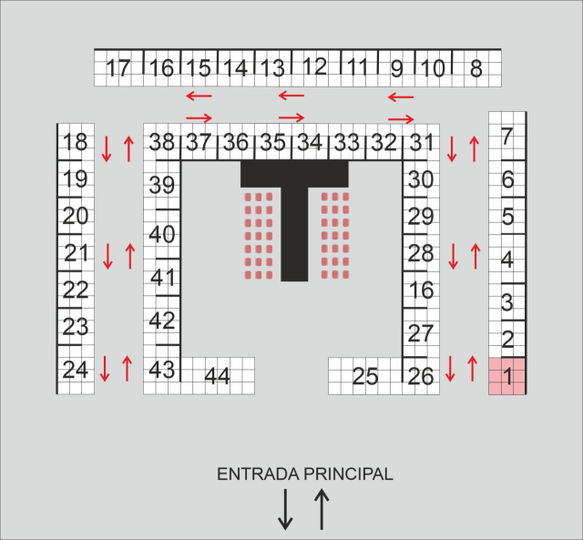 Constanza Giacomelli