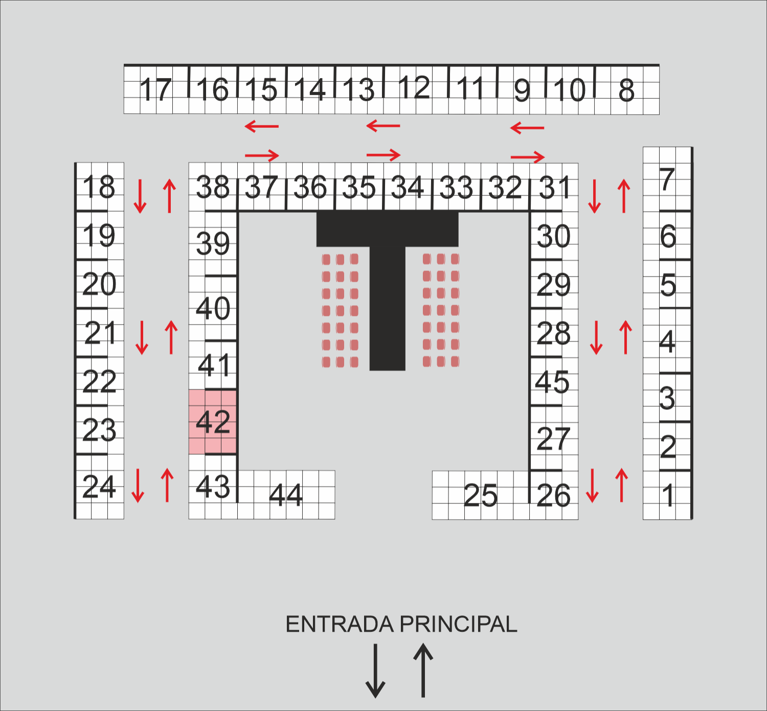 Flores Preservadas & Deco MB
