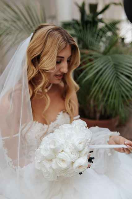 Flores Preservadas & Deco MB