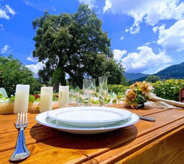 Promo últimos de año